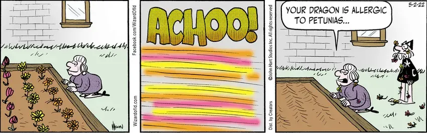 Wizard of Id for May 02, 2022