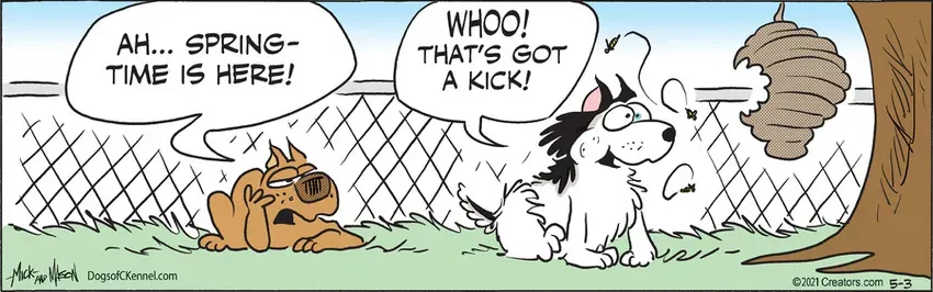 Dogs of C-Kennel for May 03, 2021