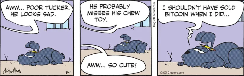 Dogs of C-Kennel for May 04, 2021