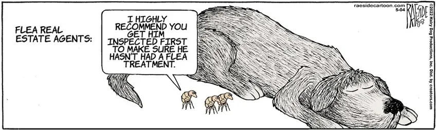 The Other Coast for May 04, 2022