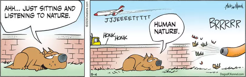 Dogs of C-Kennel for May 04, 2023