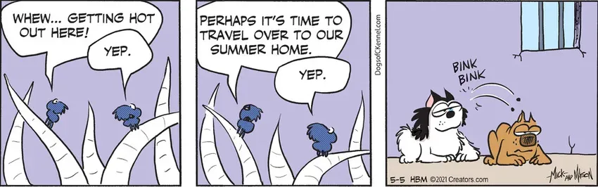 Dogs of C-Kennel for May 05, 2021