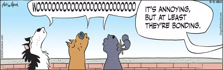 Dogs of C-Kennel for May 05, 2023