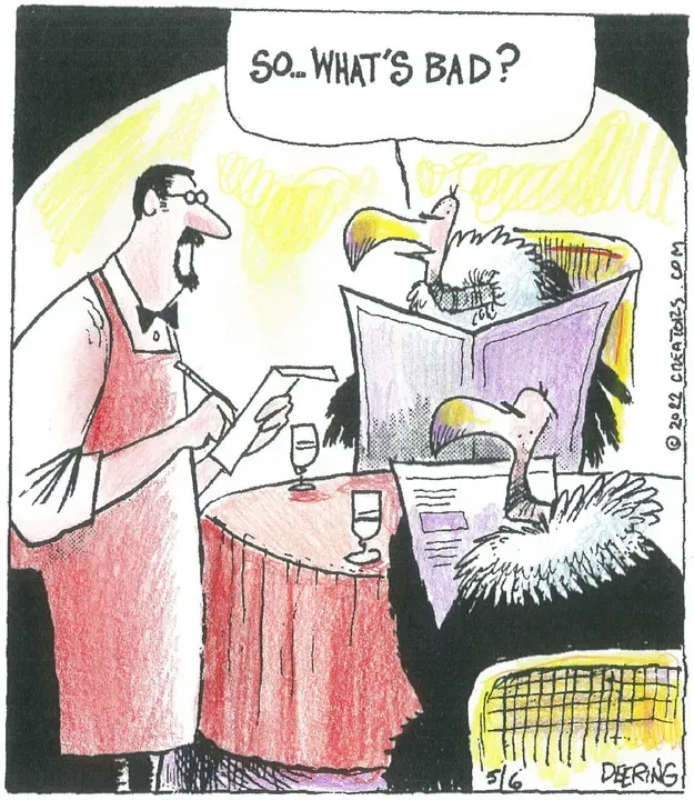 Strange Brew for May 06, 2022