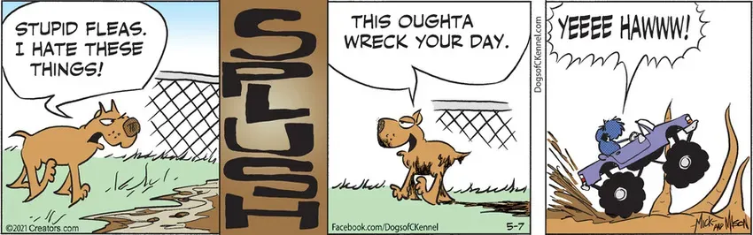 Dogs of C-Kennel for May 07, 2021
