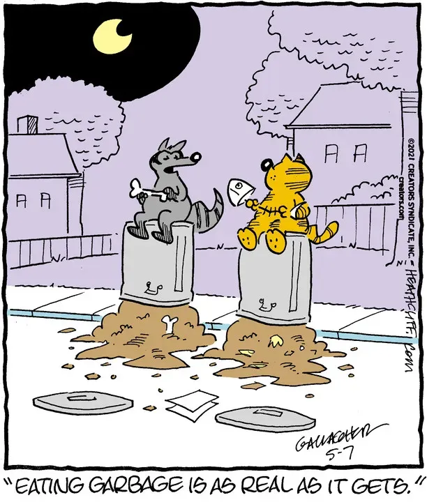Heathcliff for May 07, 2021