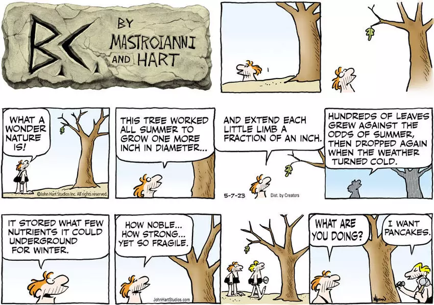 B.C. for May 07, 2023