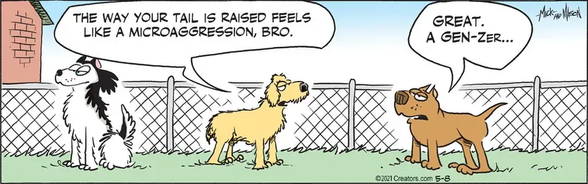 Dogs of C-Kennel for May 08, 2021