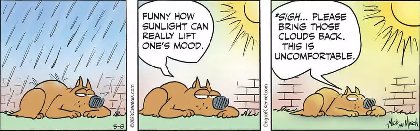 Dogs of C-Kennel for May 08, 2023