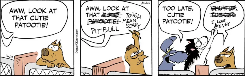 Dogs of C-Kennel for May 10, 2021