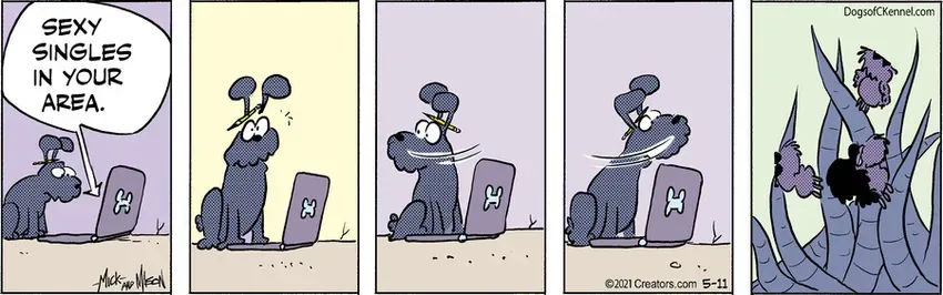 Dogs of C-Kennel for May 11, 2021