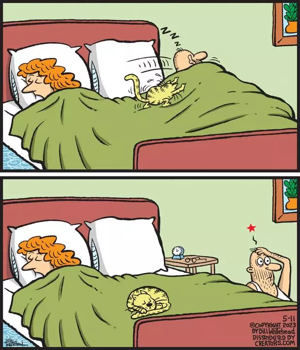 Free Range for May 11, 2023