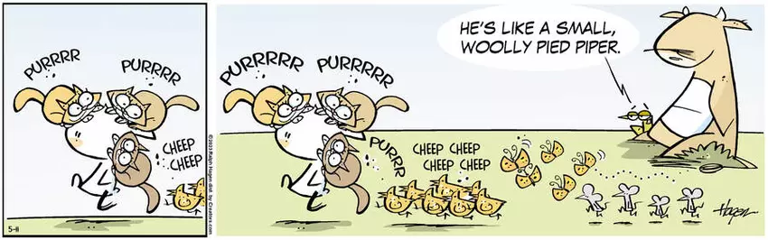 The Barn for May 11, 2023