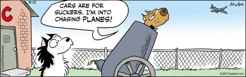 Dogs of C-Kennel for May 12, 2021