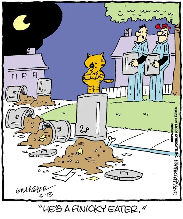 Heathcliff for May 13, 2022