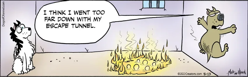 Dogs of C-Kennel for May 13, 2022