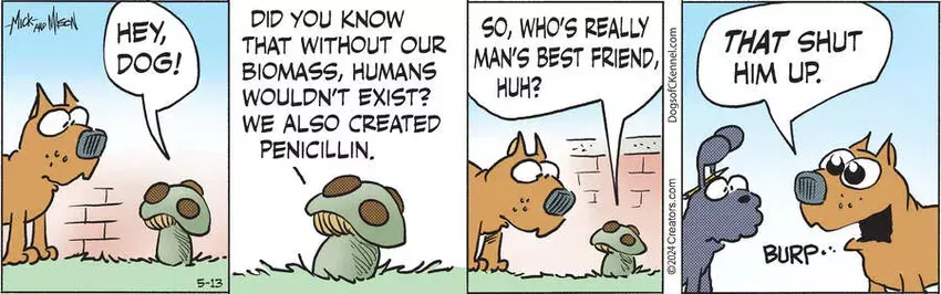 Dogs of C-Kennel for May 13, 2024