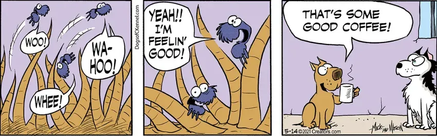 Dogs of C-Kennel for May 14, 2021