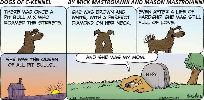 Dogs of C-Kennel for May 14, 2023