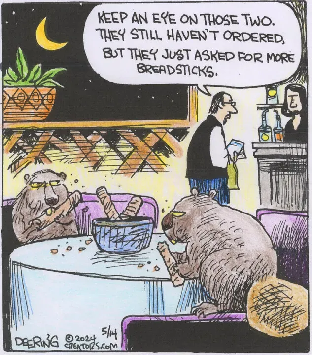 Strange Brew for May 14, 2024