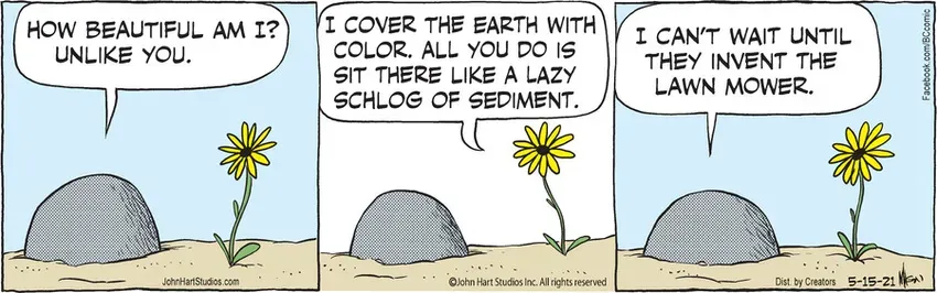 B.C. for May 15, 2021