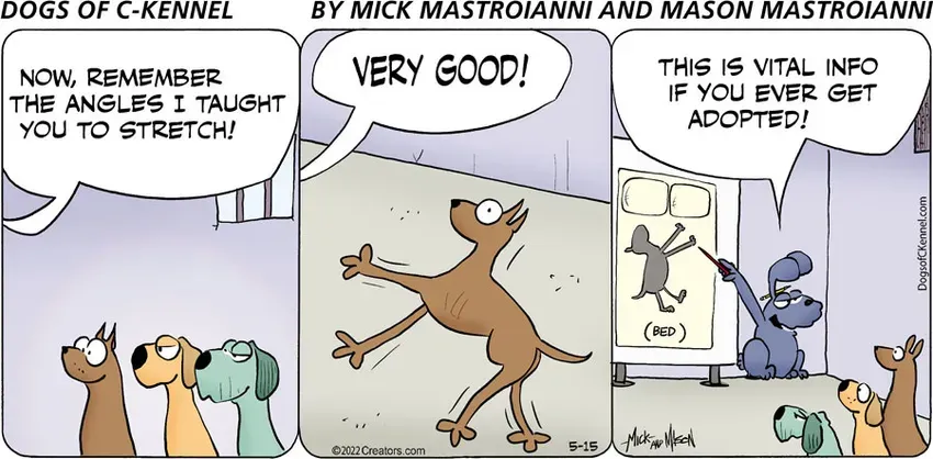 Dogs of C-Kennel for May 15, 2022