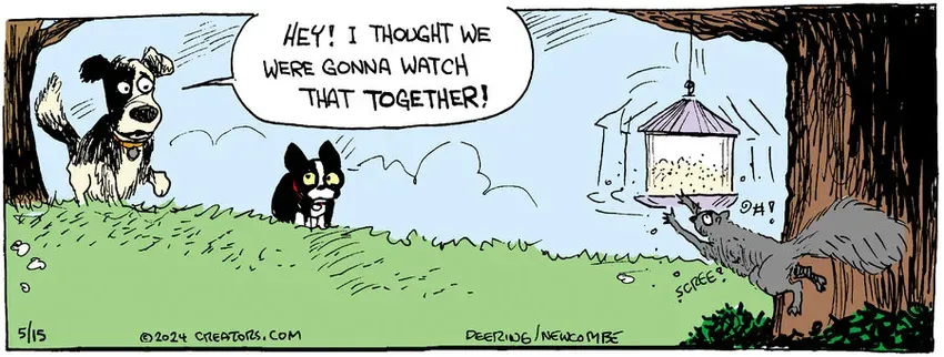 Zack Hill for May 15, 2024