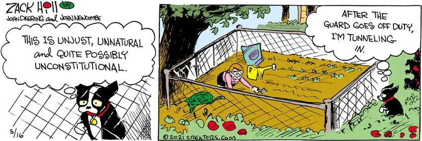 Zack Hill for May 16, 2021