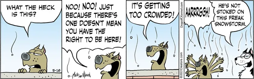 Dogs of C-Kennel for May 16, 2022