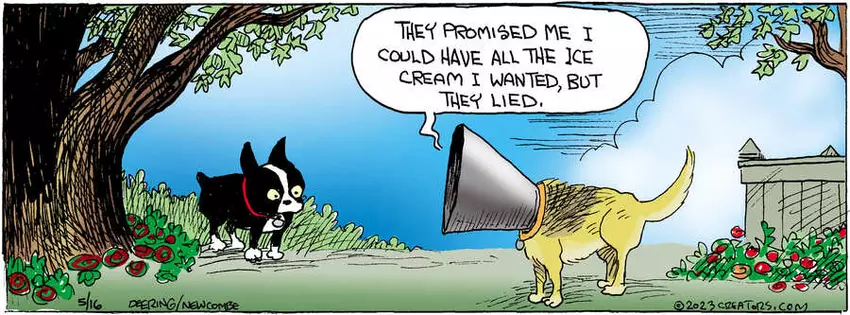 Zack Hill for May 16, 2023