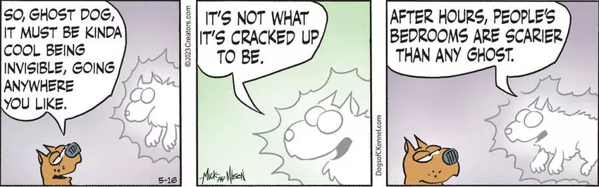 Dogs of C-Kennel for May 16, 2023