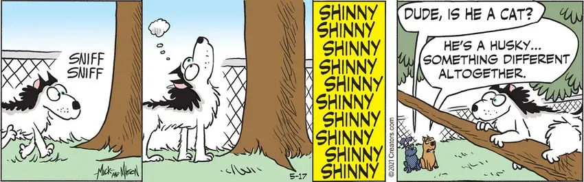 Dogs of C-Kennel for May 17, 2021