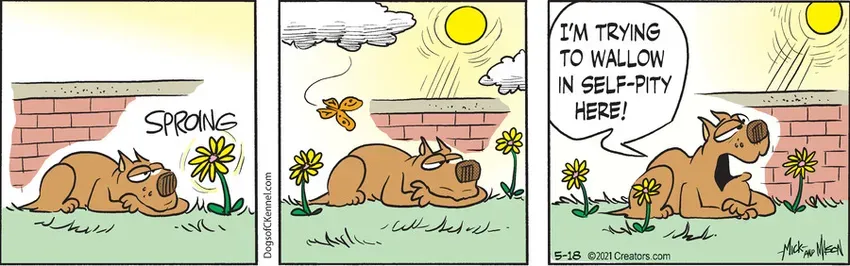 Dogs of C-Kennel for May 18, 2021