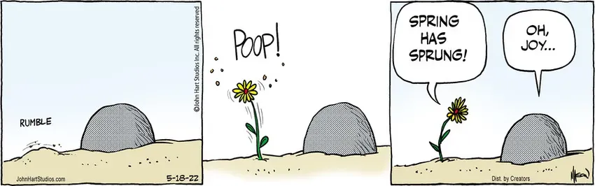 B.C. for May 18, 2022