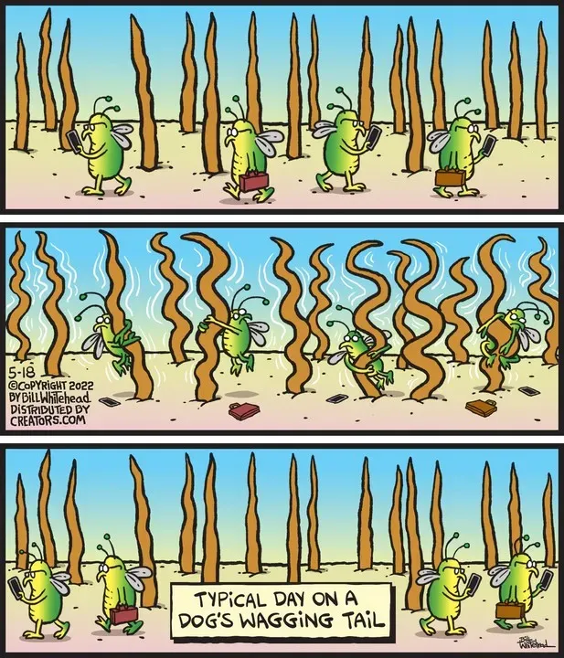 Free Range for May 18, 2022