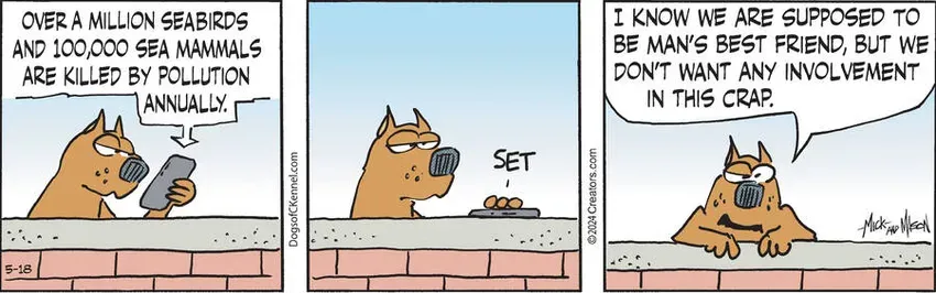 Dogs of C-Kennel for May 18, 2024
