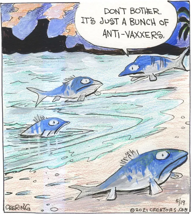 Strange Brew for May 19, 2021