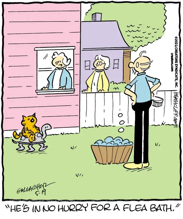 Heathcliff for May 19, 2022