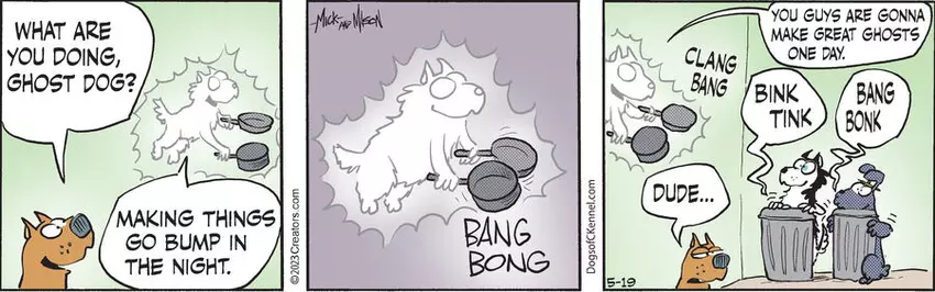 Dogs of C-Kennel for May 19, 2023