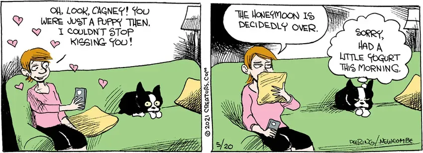 Zack Hill for May 20, 2021