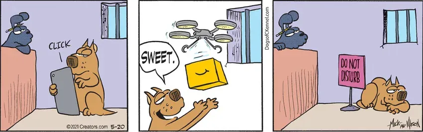 Dogs of C-Kennel for May 20, 2021