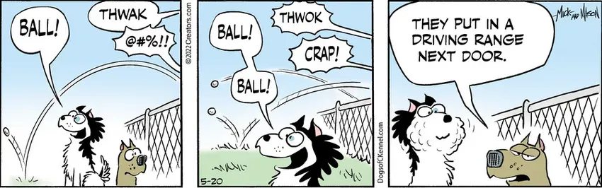 Dogs of C-Kennel for May 20, 2022