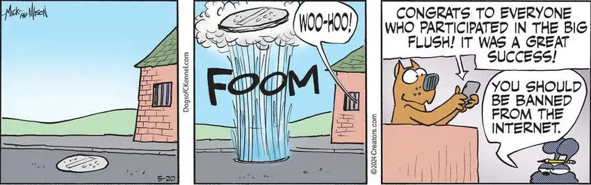 Dogs of C-Kennel for May 20, 2024