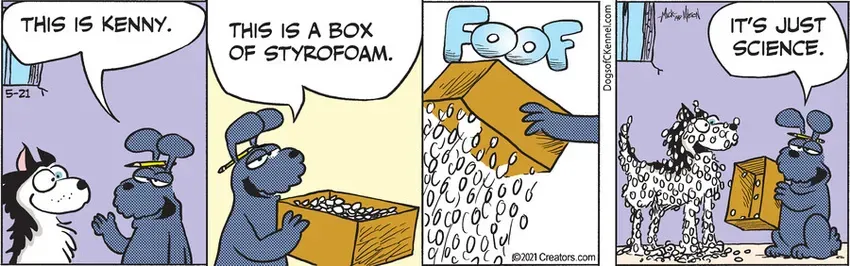 Dogs of C-Kennel for May 21, 2021