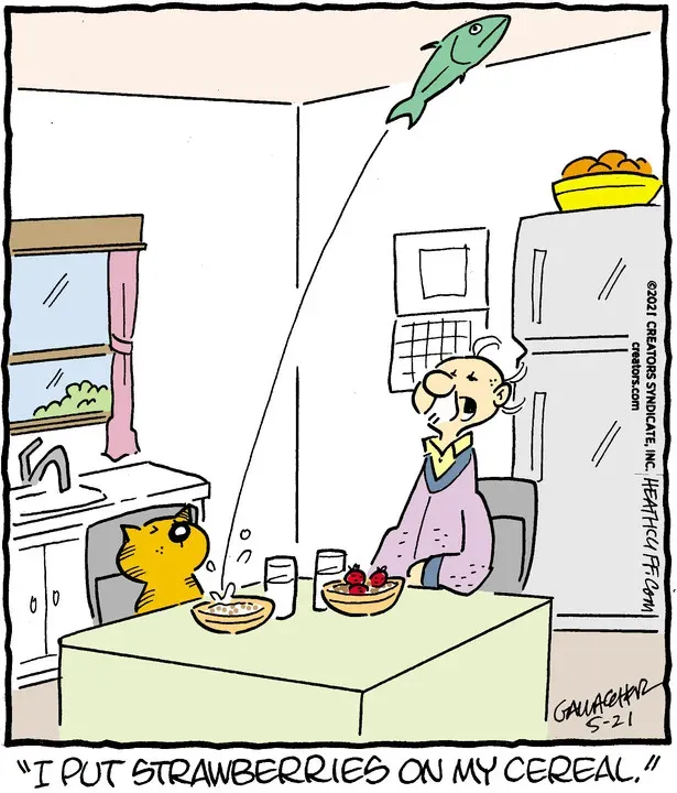 Heathcliff for May 21, 2021