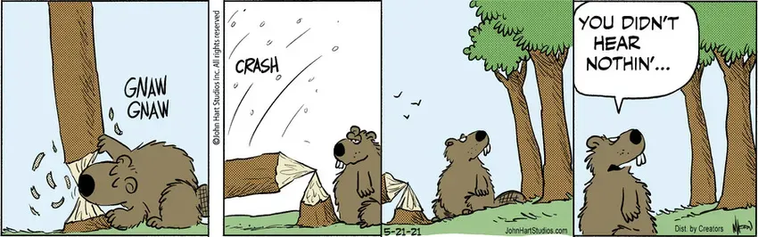 B.C. for May 21, 2021