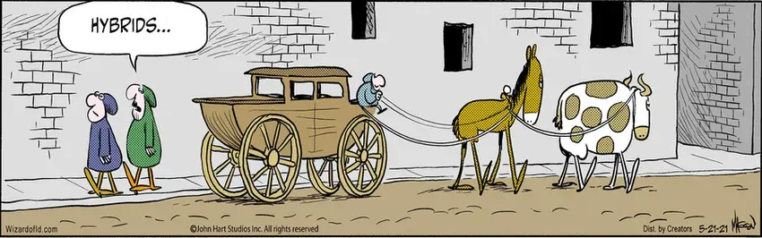 Wizard of Id for May 21, 2021