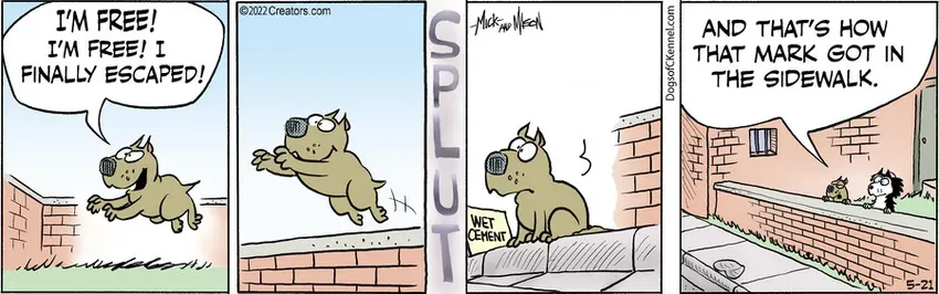 Dogs of C-Kennel for May 21, 2022