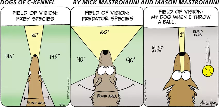 Dogs of C-Kennel for May 21, 2023