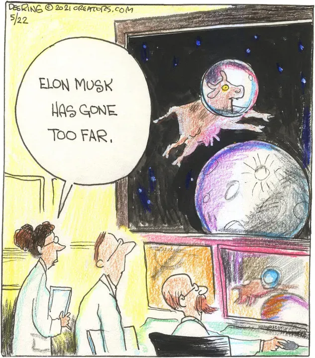 Strange Brew for May 22, 2021